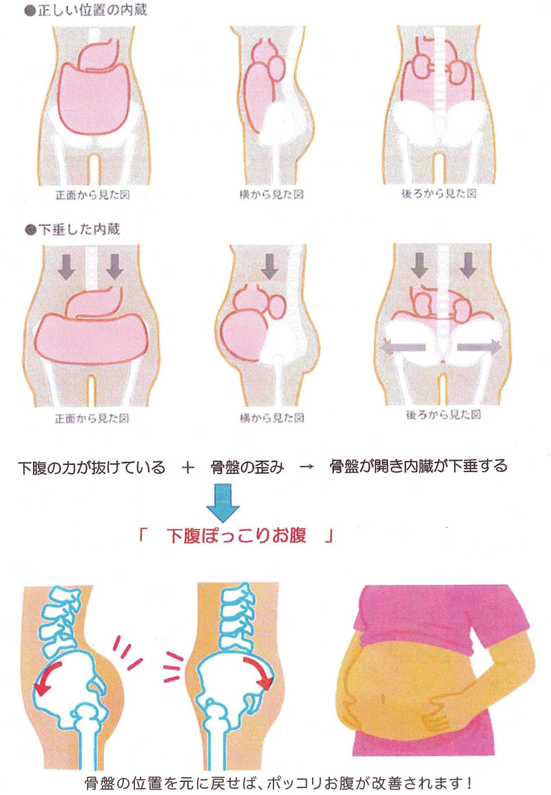 下垂 改善 内臓
