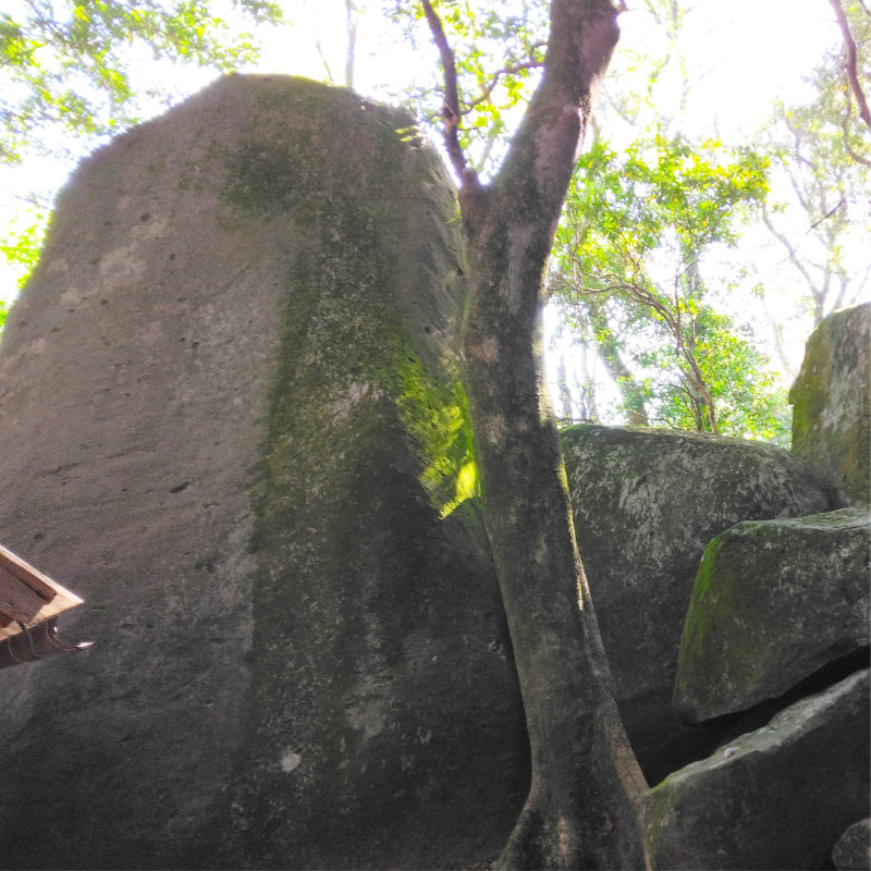 ogamigaishi_sqx800.jpg ogamigaishi_sqx800.jpg